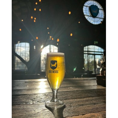 Copà BrewDog de 25 cl - United We Stand For Better Beer