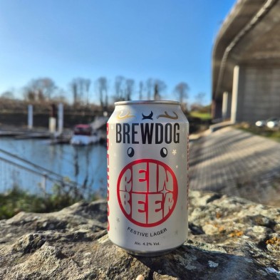 BrewDog Reinbeer Can 0.33L Brewed in Ellon
