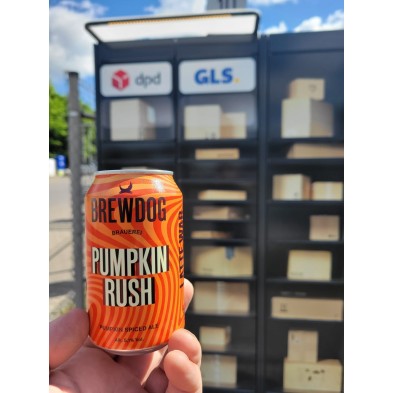 BrewDog Pumpkin Rush Can 0.33L Brewed in Berlin