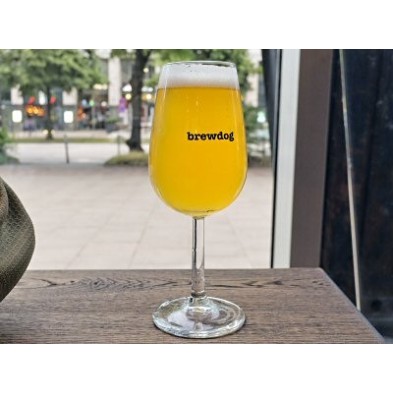 Brewdog Mosella Tasting Glas 0,23L