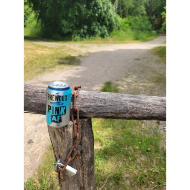 Brewdog Punk AF Can 0.33L Brewed in Ellon