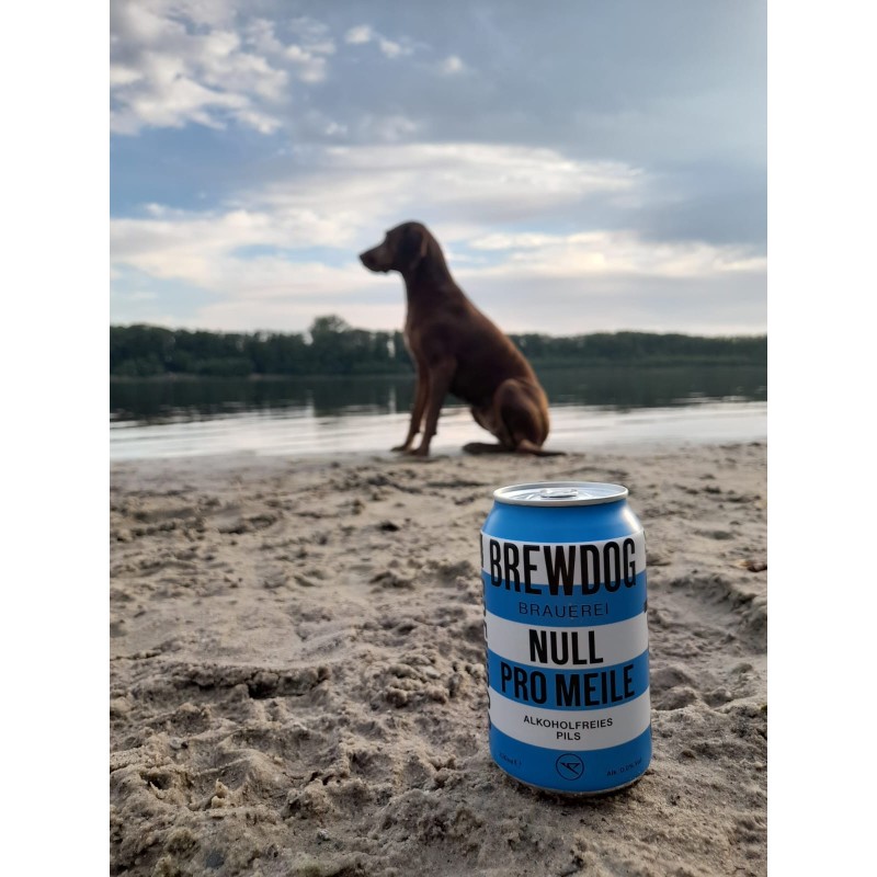 Cerveza Brewdog Condor Null Pro Meile 0.33L Lata