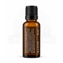 ZINGI Mini bebida de jengibre 50 ml con miel y limón
