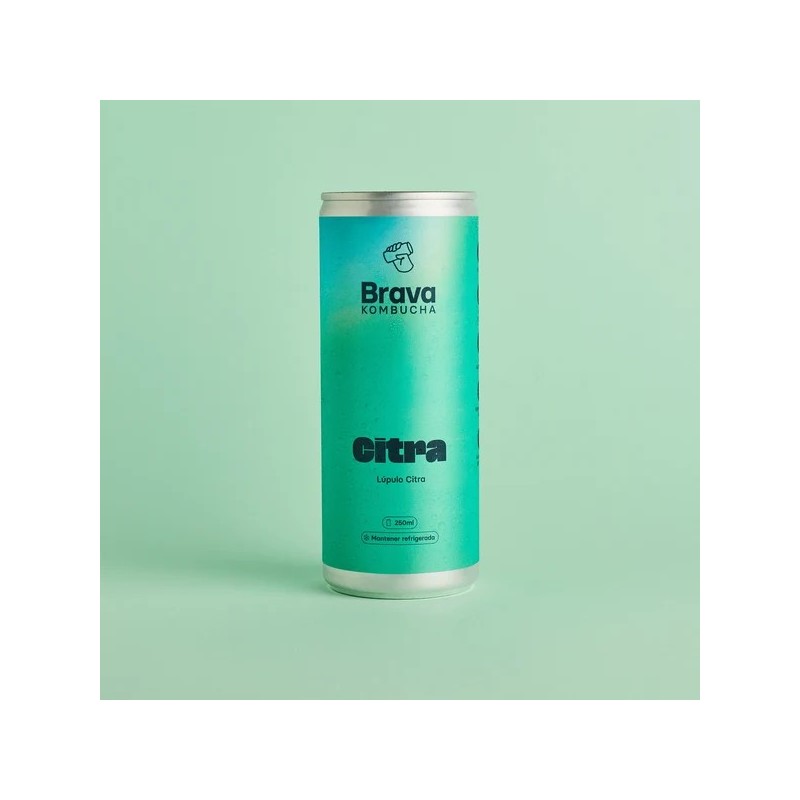 Brava Kombucha Citra mit Citra-Hopfen, 250 ml