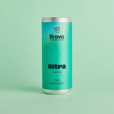 Brava Kombucha Citra mit Citra-Hopfen, 250 ml