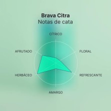 Brava Kombucha Citra – Citra Hops 250 ml
