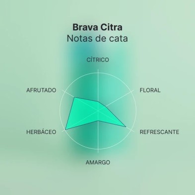 Brava Kombucha Citra mit Citra-Hopfen, 250 ml