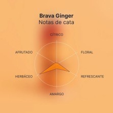 Brava Kombucha Ginger mit Ingwer, 250 ml