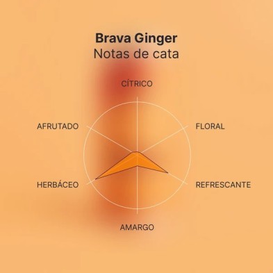 Brava Kombucha Ginger mit Ingwer, 250 ml