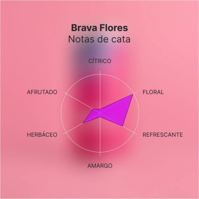 Brava Kombucha Flores – Lavendel & Jasmin 250 ml